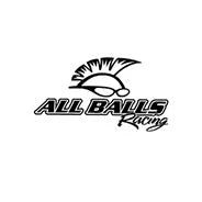 All Balls Racing Parts