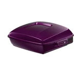Harley-Davidson Chopped Tour-Pak Luggage - Poison Berry Fade