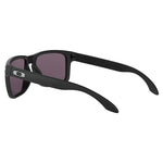 Oakley Sunglasses – Batwolf, BXTR, Holbrook & Sutro – Prizm & Polarised Lenses