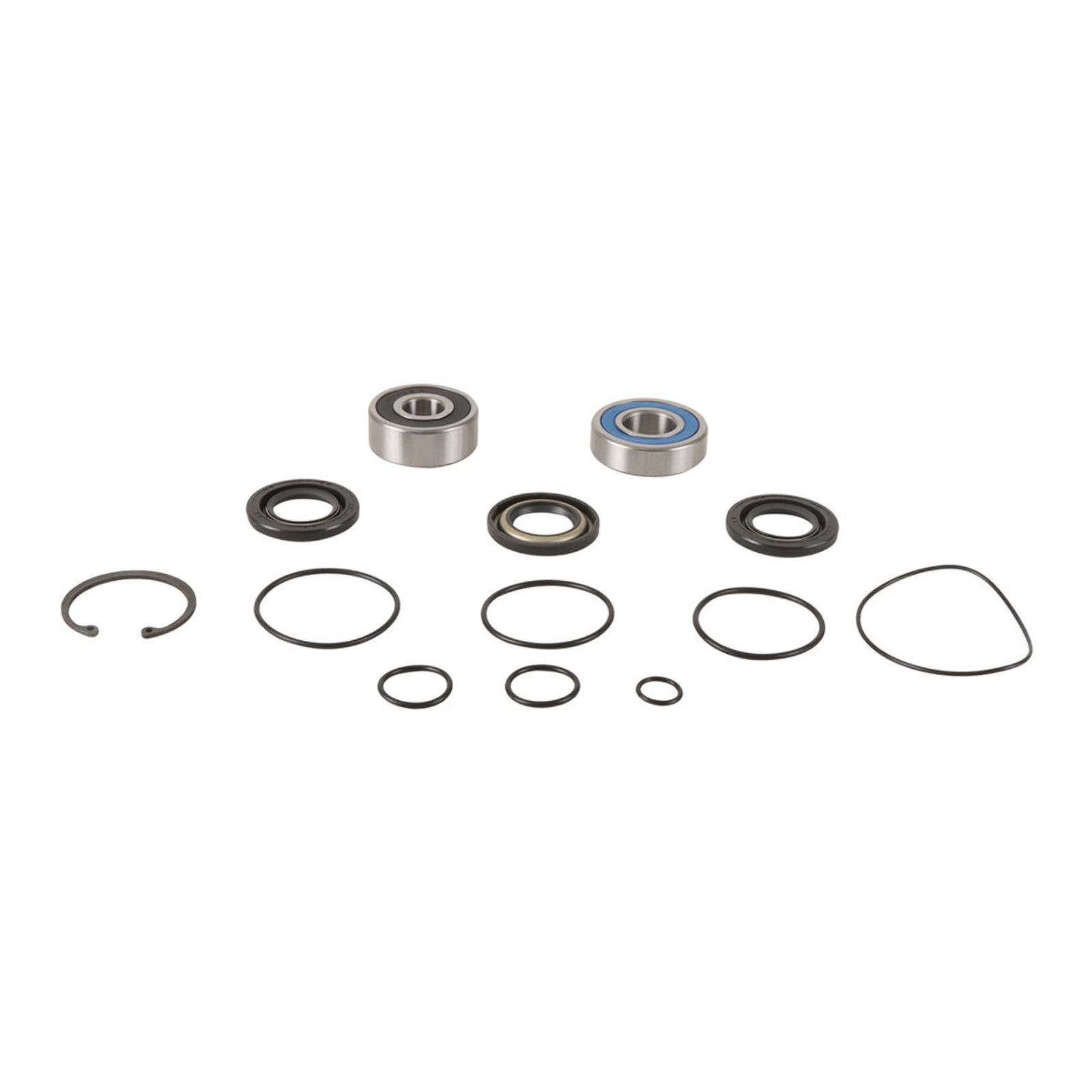 All Balls Racing Jet Pump Rebuild Kit