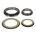 Steering Head Bearing & Seal Kit