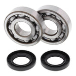 All Balls Racing Crankshaft Bearing Kit