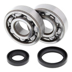 All Balls Racing Crankshaft Bearing Kit