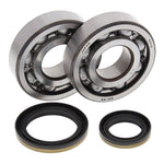 All Balls Racing Crankshaft Bearing Kit