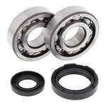 All Balls Racing Crankshaft Bearing Kit