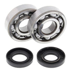 All Balls Racing Crankshaft Bearing Kit
