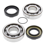 Engine Main Bearing Kit