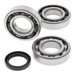 All Balls Racing Crankshaft Bearing Kit