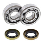 All Balls Racing Crankshaft Bearing Kit