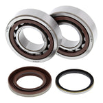 All Balls Racing Crankshaft Bearing Kit