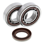 All Balls Racing Crankshaft Bearing Kit