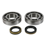 All Balls Racing Crankshaft Bearing Kit