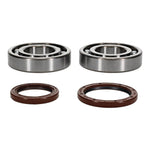 All Balls Racing Crankshaft Bearing Kit
