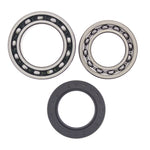 All Balls Racing Wheel Bearing Kit - Series 1