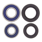 All Balls Racing Wheel Bearing Kit - Series 1