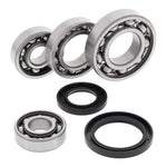 Differential Bearing & Seal Kit