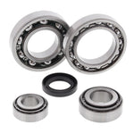Differential Bearing & Seal Kit
