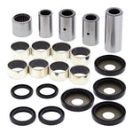 Suspension Linkage Kit with Multiple Variant Options