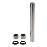 Swingarm ARM Bearing Kit