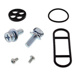 All Balls Racing Fuel Tap Rebuild Kit - Series 1