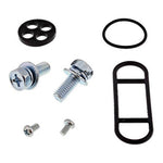 All Balls Racing Fuel Tap Rebuild Kit - Series 1