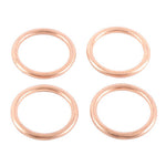 Exhaust Gasket Kit