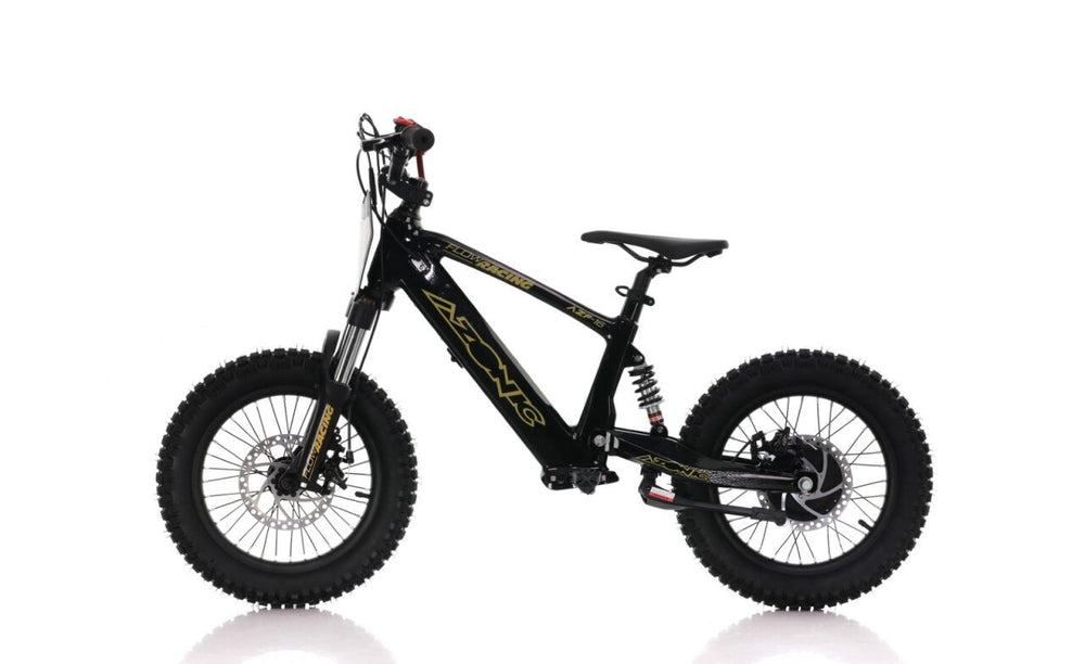 Azonic Flow 16 - 24V / 5Ah / 350W