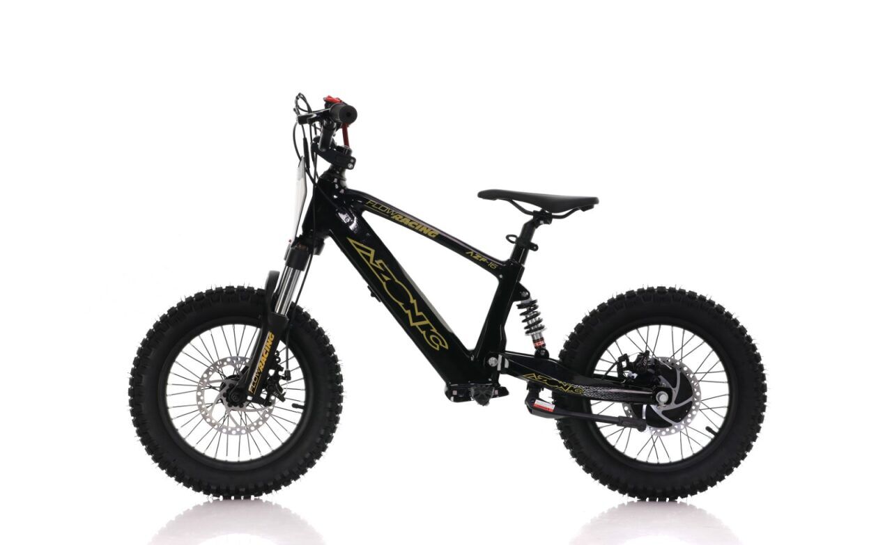 Azonic Flow 20 - 36V / 7.5Ah / 750W