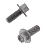 Bolt 8mm Euro Bolt (Pack of 10)