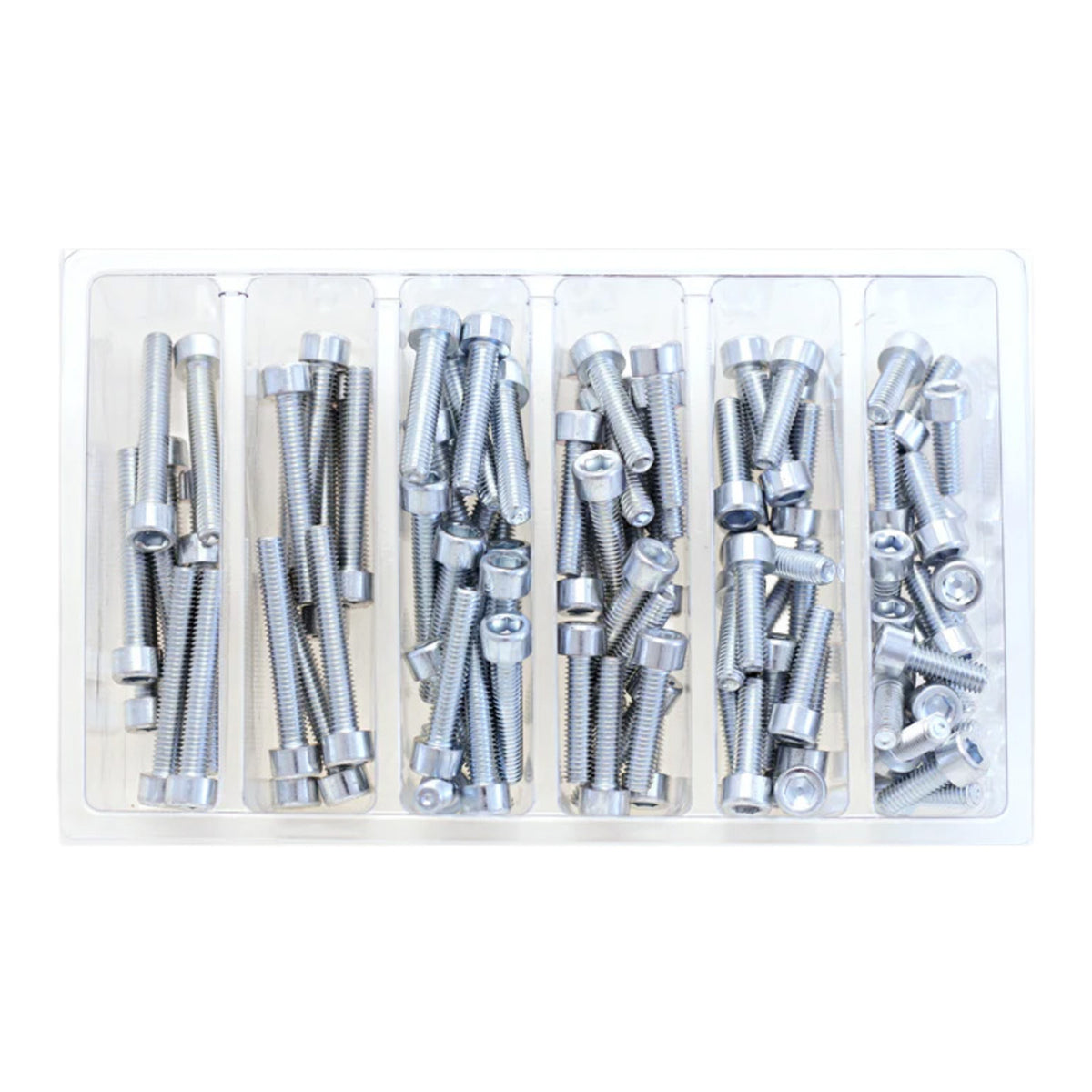 Bolt Workshop Service Kit: M6 Socket Head Allen