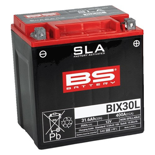 BS BATTERY SLA - BIX30L (FA) - [CTN 2] (UN2800/CLASS 8)