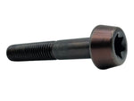 Torx T-70 Compensator Bolt. Fits Dyna 2014-2017, Softail 2014up & Touring 2014up - Evolution Industries