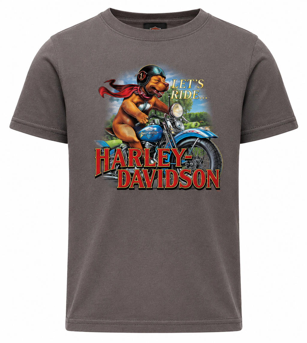 Harley-Davidson Kids Bandit Short Sleeve Tee