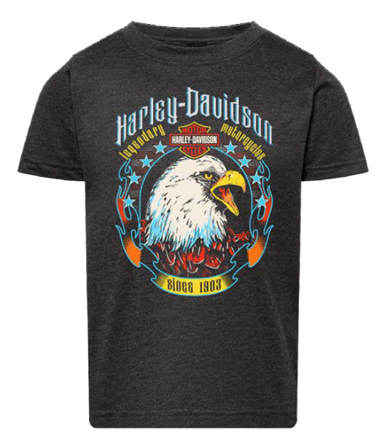 Joe Rascal x Harley-Davidson® Glare Kids Short Sleeve T-Shirt – Vintage Smoke