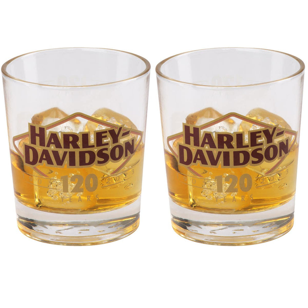 HARLEY-DAVIDSON 120TH ANNIVERSARY DOF GLASS SET