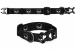 Harley-Davidson Skull Collar Black
