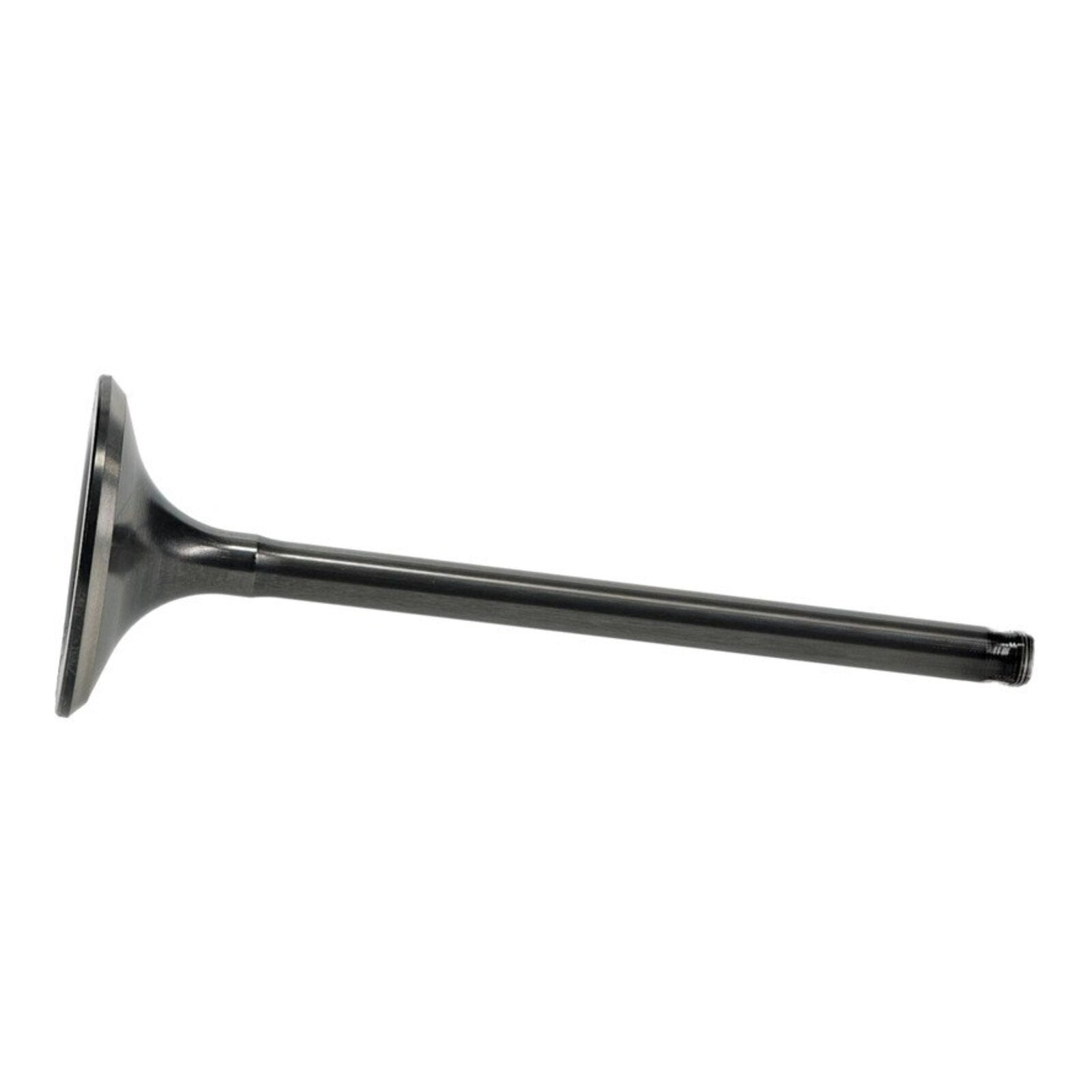 Hot Cams Valve Exhaust Steel