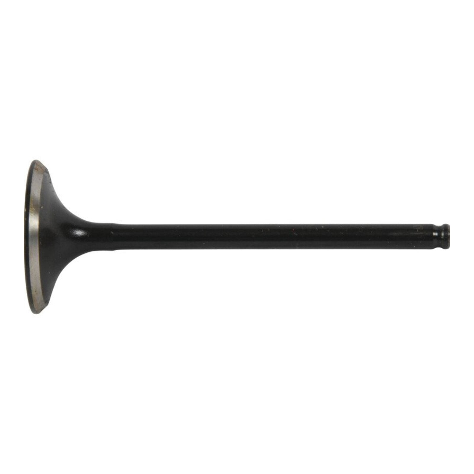 Hot Cams Valve Exhaust Steel