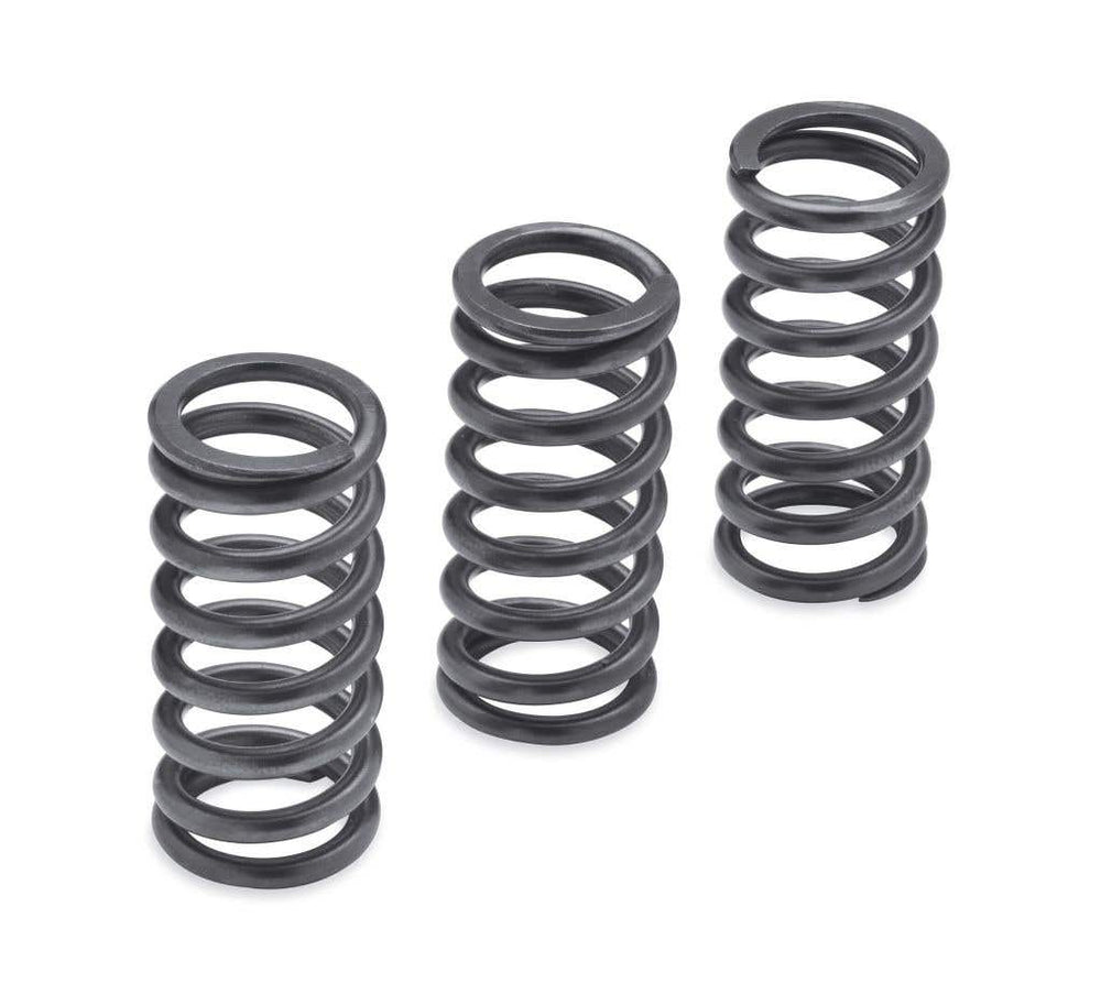 SCREAMIN' EAGLE MILWAUKEE-EIGHT ENGINE CLUTCH SPRINGS - 1275N