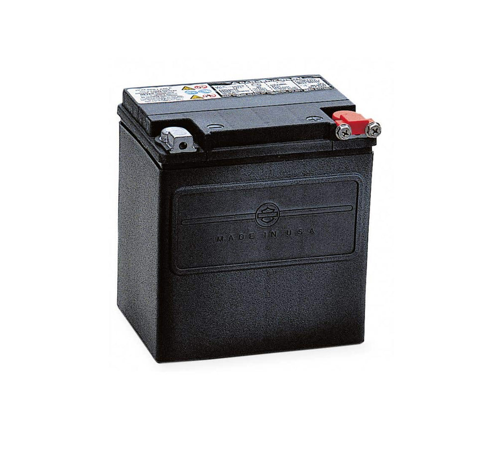 HARLEY-DAVIDSON H-D AGM ORIGINAL EQUIPMENT BATTERY
