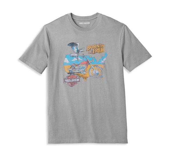 HARLEY-DAVIDSON MENS BORN TO BE FREE GRAPHIC TEE
