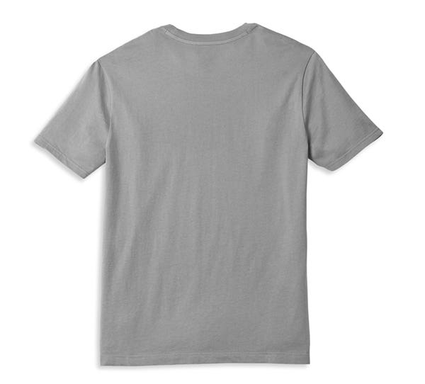 HARLEY-DAVIDSON MENS BORN TO BE FREE GRAPHIC TEE