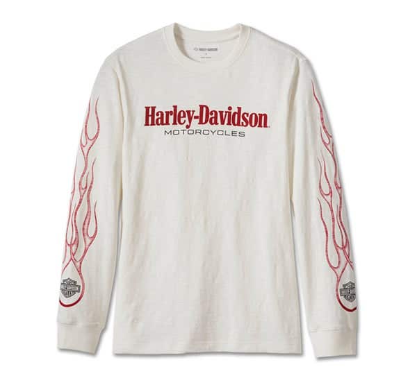 HARLEY-DAVIDSON MENS IN FLAMES TEE