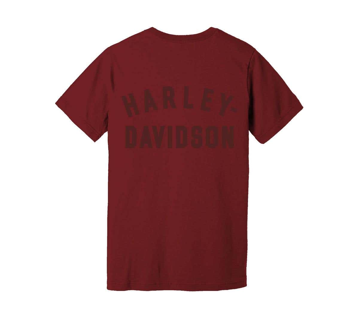 HARLEY-DAVIDSON MENS STAPLE BACK HIT TEE