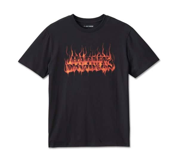HARLEY-DAVIDSON RHODONITE TEE