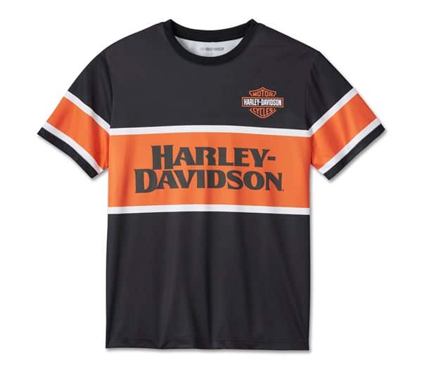 HARLEY-DAVIDSON MENS BURNING EAGLE SHORT SLEEVE TEE
