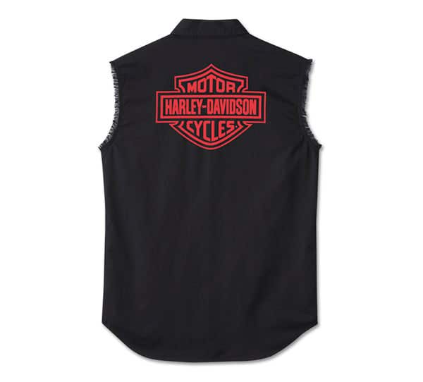 HARLEY-DAVIDSON MENS ASHES BLOWOUT