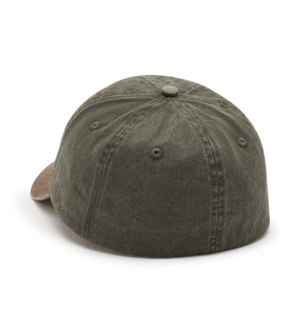HARLEY-DAVIDSON MENS ARCHED FONT PANHEAD FITTED CAP