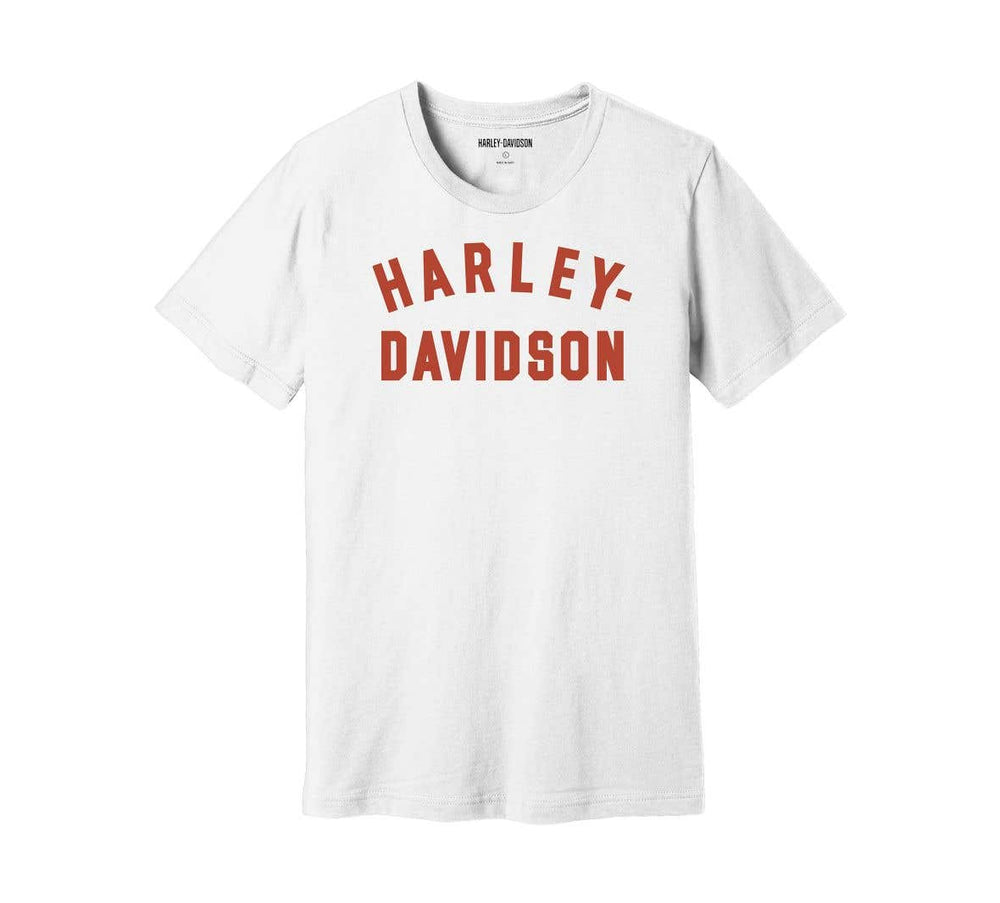 HARLEY-DAVIDSON MENS STAPLE TEE