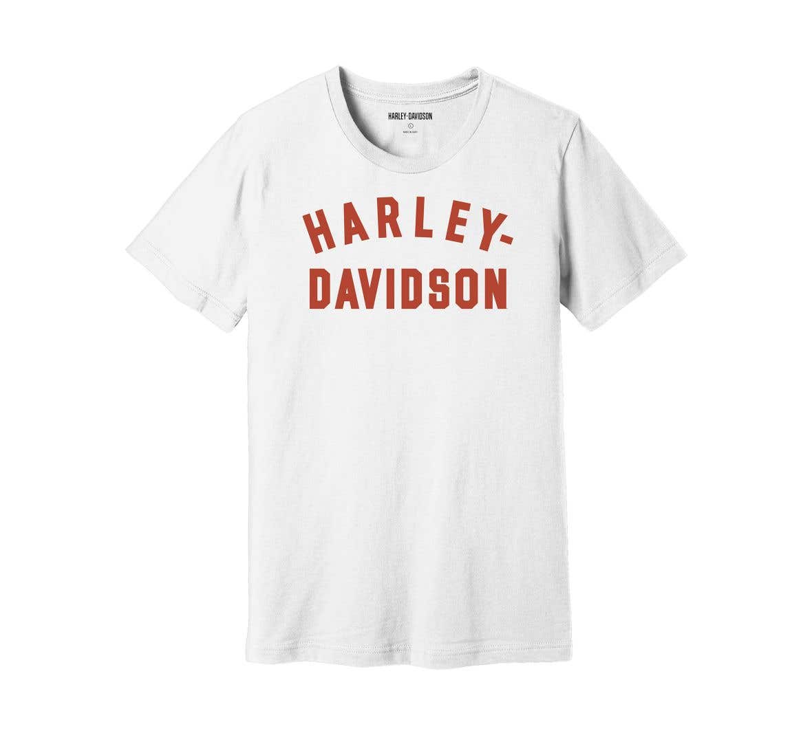 HARLEY-DAVIDSON MENS STAPLE TEE